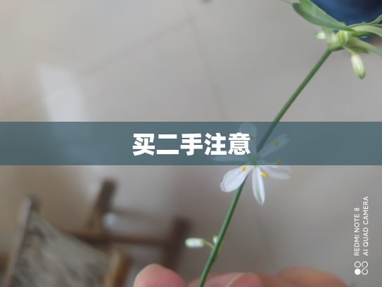 买二手注意