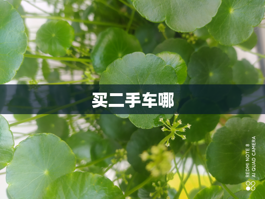 买二手车哪