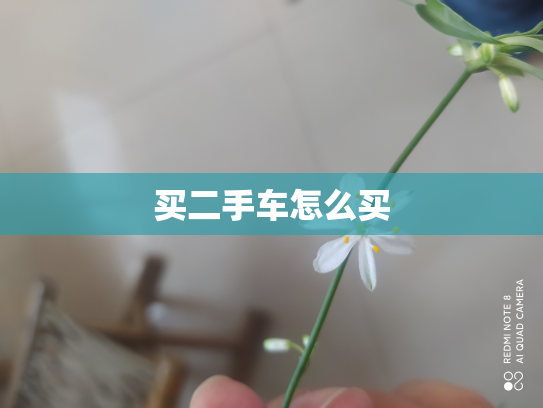 买二手车怎么买