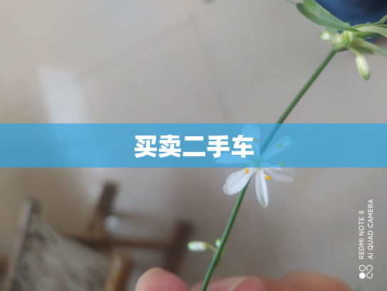 买卖二手车