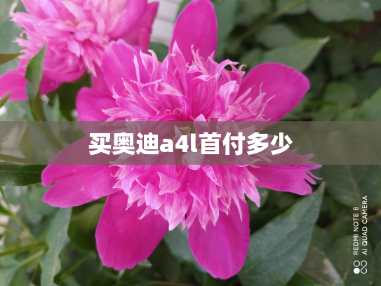 买奥迪a4l首付多少