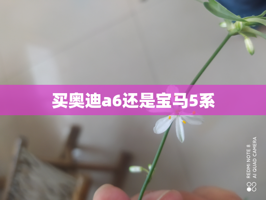 买奥迪a6还是宝马5系