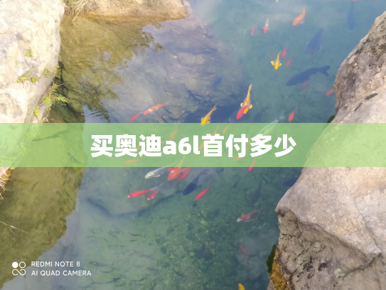 买奥迪a6l首付多少