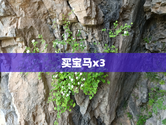 买宝马x3