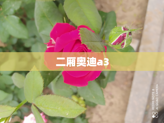 二厢奥迪a3