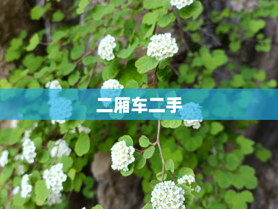 二厢车二手