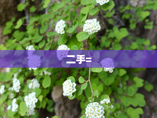 二手=