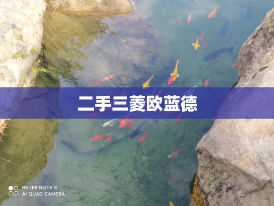 二手三菱欧蓝德