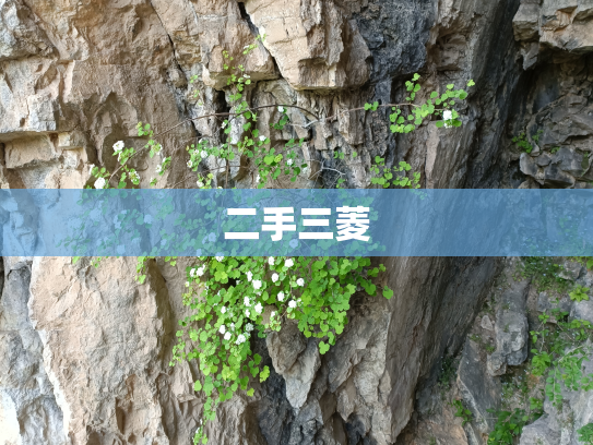 二手三菱