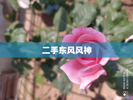 二手东风风神
