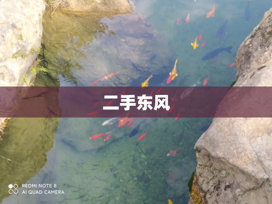 二手东风
