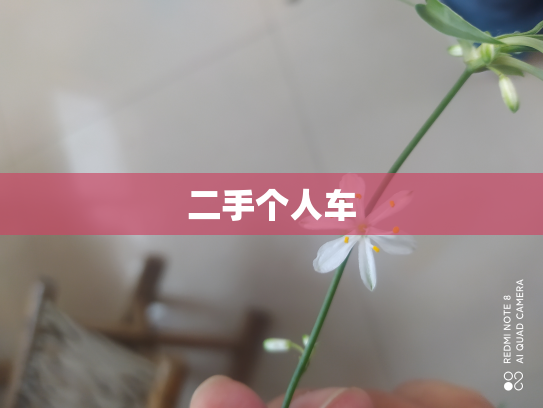 二手个人车