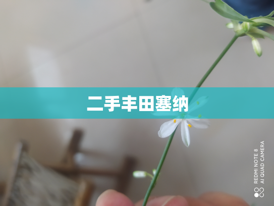 二手丰田塞纳