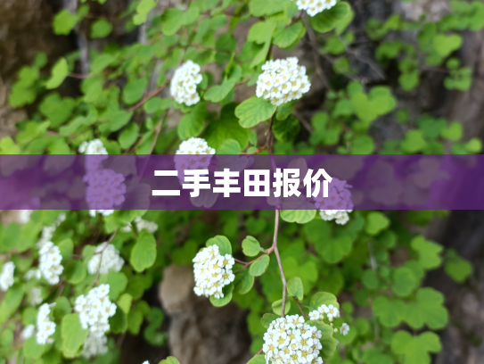 二手丰田报价