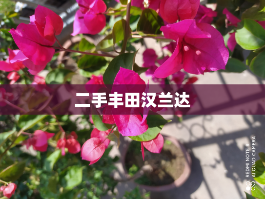 二手丰田汉兰达