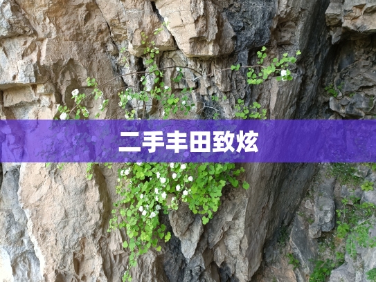 二手丰田致炫