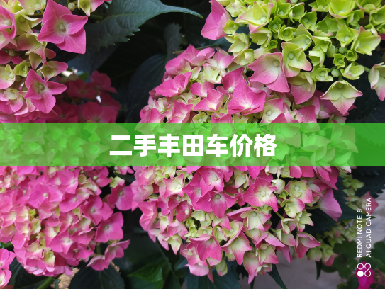 二手丰田车价格