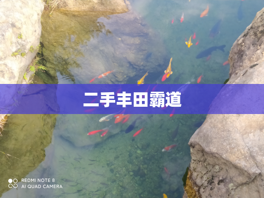 二手丰田霸道