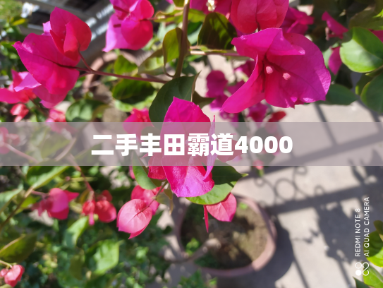 二手丰田霸道4000