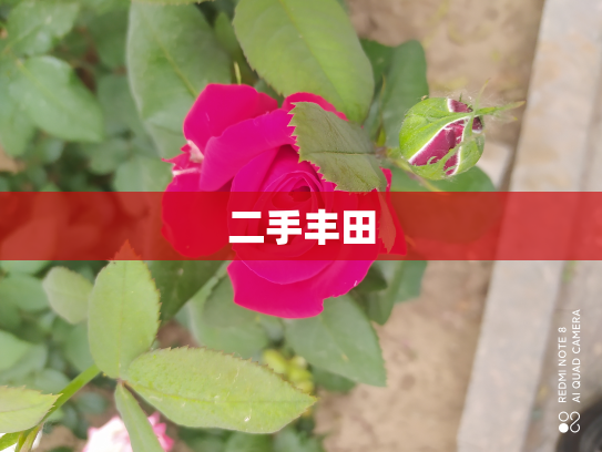 二手丰田
