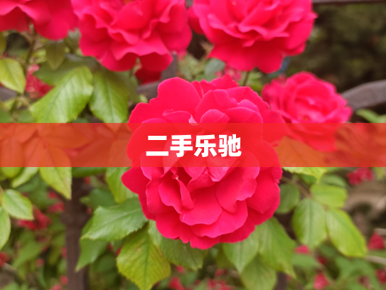 二手乐驰