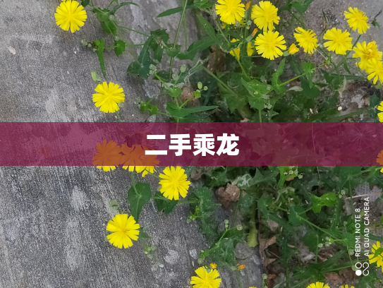 二手乘龙