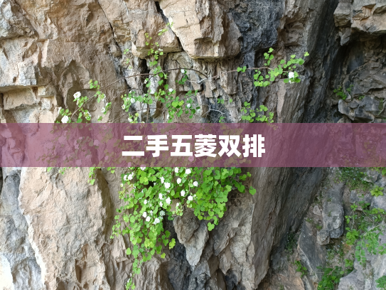 二手五菱双排