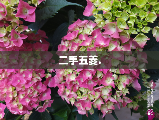 二手五菱.