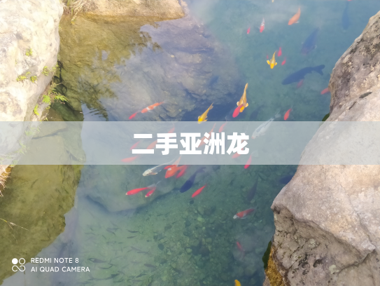 二手亚洲龙