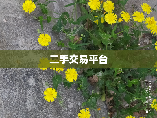 二手交易平台