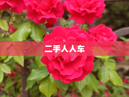 二手人人车
