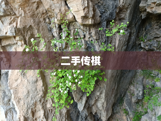 二手传祺