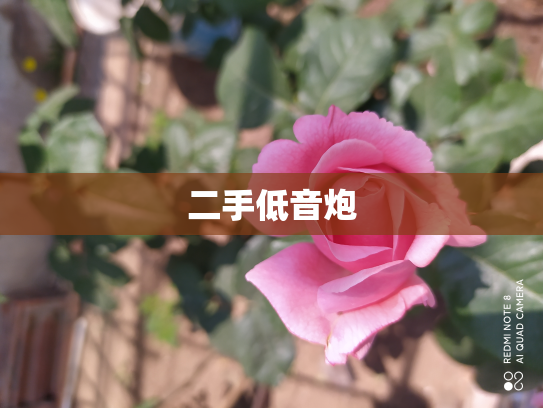二手低音炮