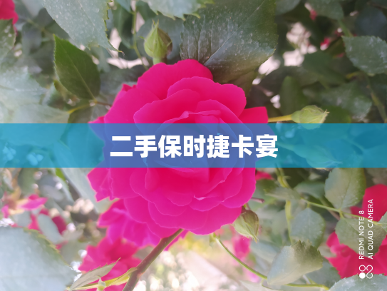 二手保时捷卡宴