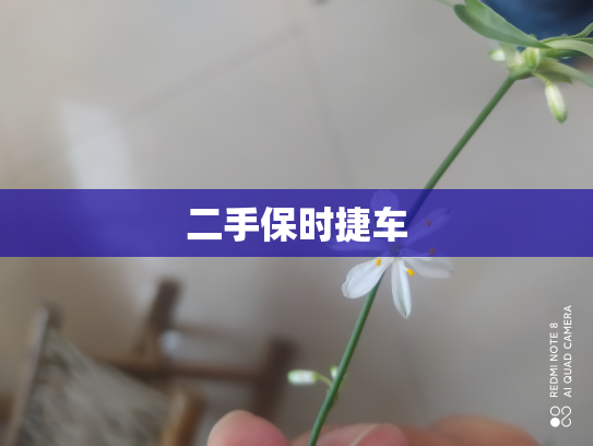 二手保时捷车