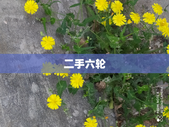 二手六轮