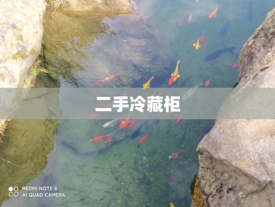 二手冷藏柜