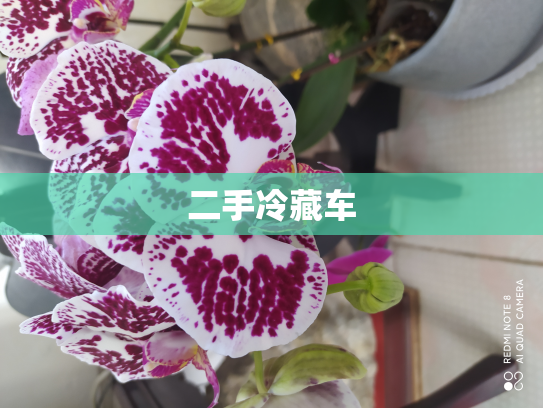 二手冷藏车