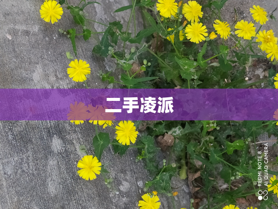 二手凌派