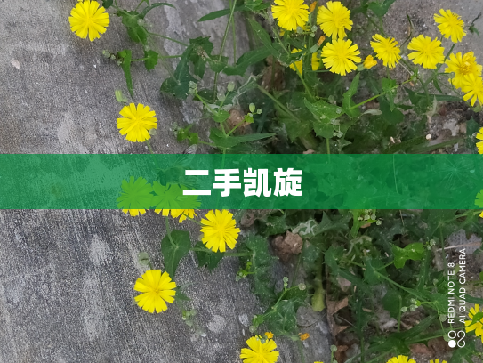 二手凯旋