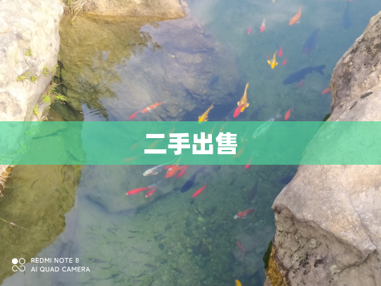 二手出售