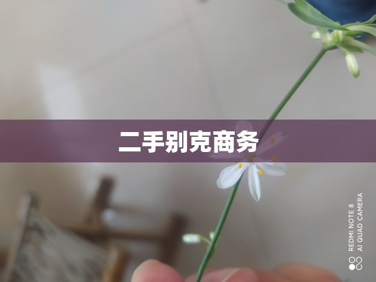 二手别克商务