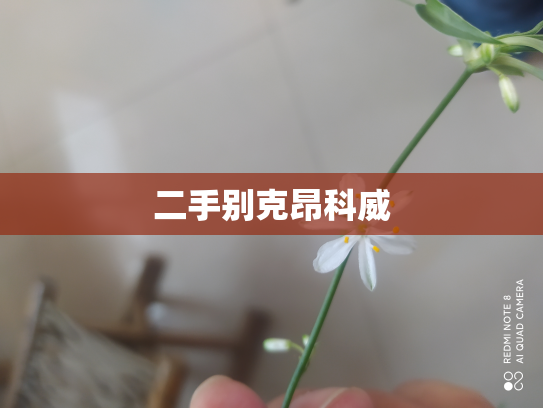 二手别克昂科威