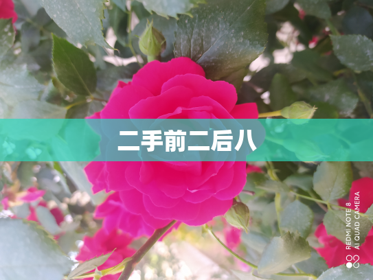 二手前二后八