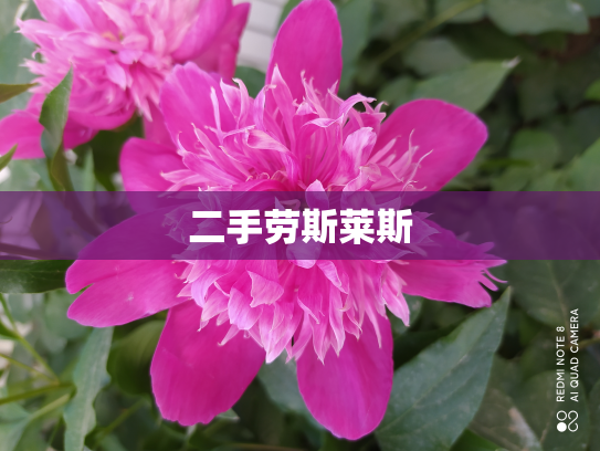 二手劳斯莱斯