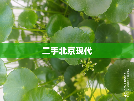二手北京现代