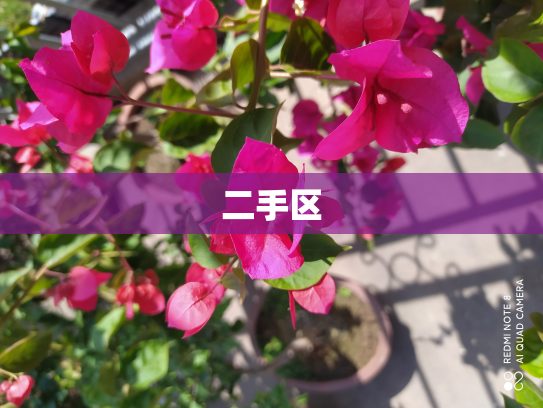 二手区