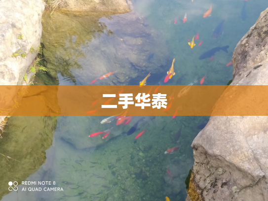 二手华泰