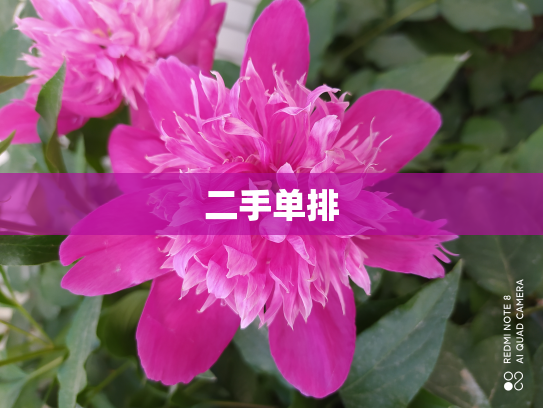 二手单排