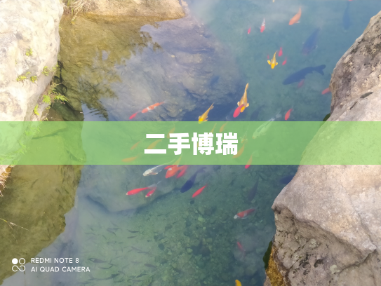 二手博瑞